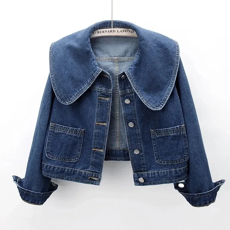 2024 New Autumn Women Denim Ja - огляд і ціна Down Jacket Packable
